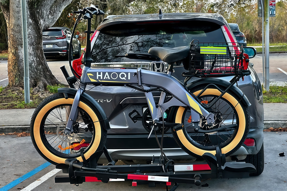 HAOQI Squirrel Folding Electric Bike