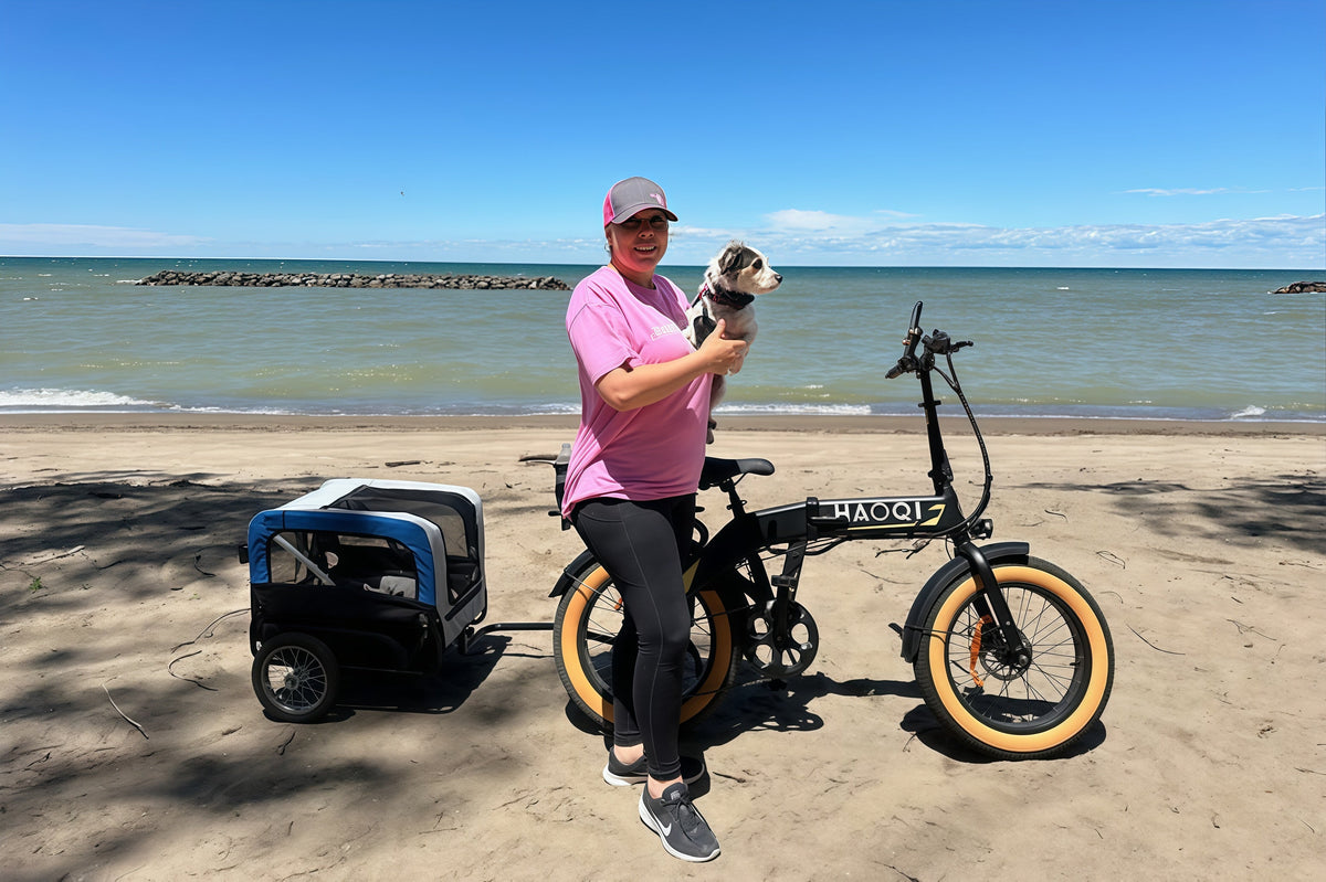 HAOQI Squirrel Folding Electric Bike