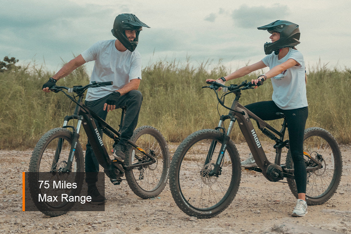 HAOQI Mustang Premium Electric Mountain Bike