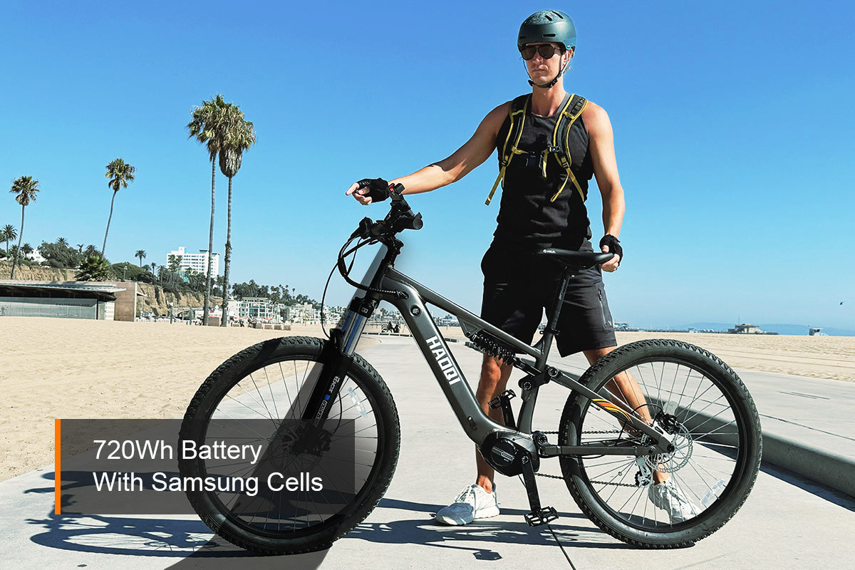 HAOQI Mustang Premium Electric Mountain Bike