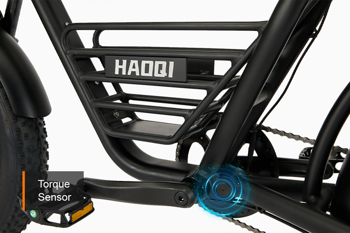 HAOQI Rhino2.0 Electric Motorbike