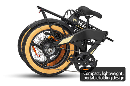 HAOQI Squirrel Folding Electric Bike