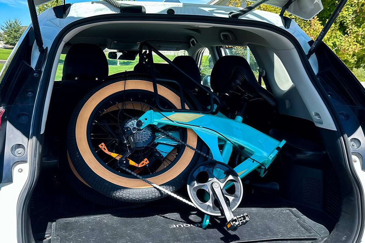 HAOQI Squirrel Folding Electric Bike