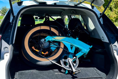 HAOQI Squirrel Folding Electric Bike