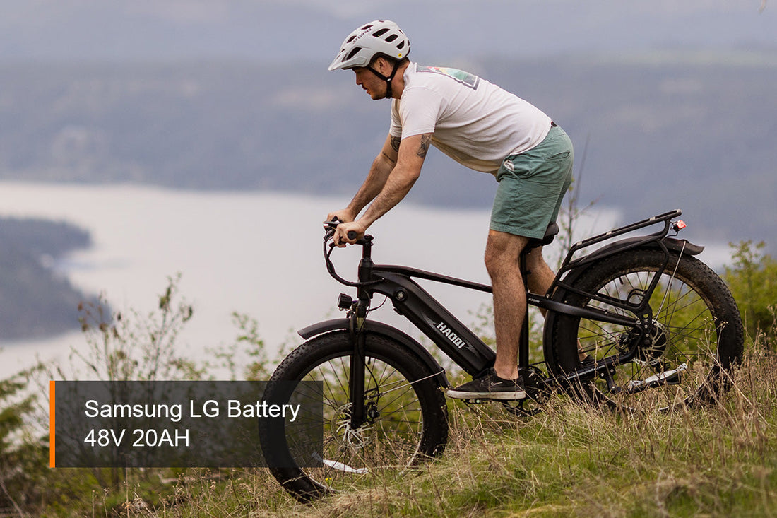 HAOQI Eagle Long Range Electric Bicycle