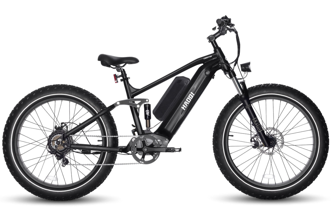 HAOQI Cheetah2.0 Full Suspension eBike