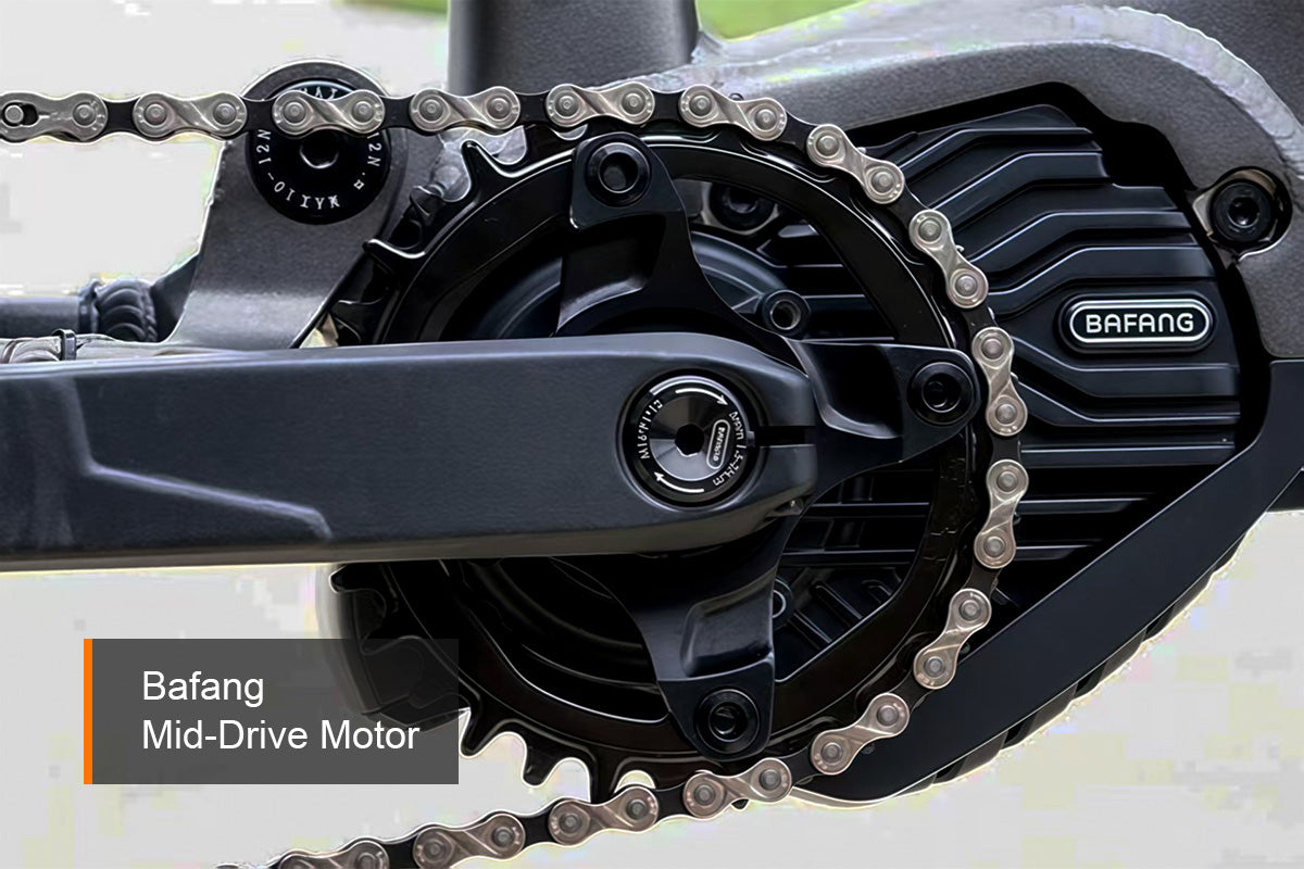 HAOQI Mustang Premium Electric Mountain Bike