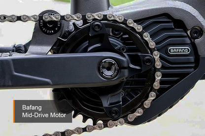 HAOQI Mustang Premium Electric Mountain Bike