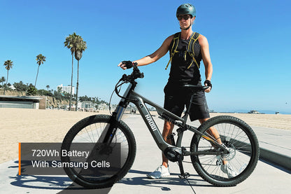 HAOQI Mustang Premium Electric Mountain Bike