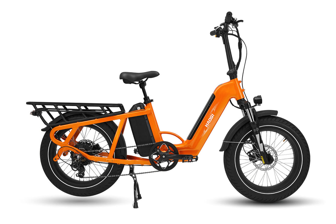 HAOQI Camel Electric Cargo Bike