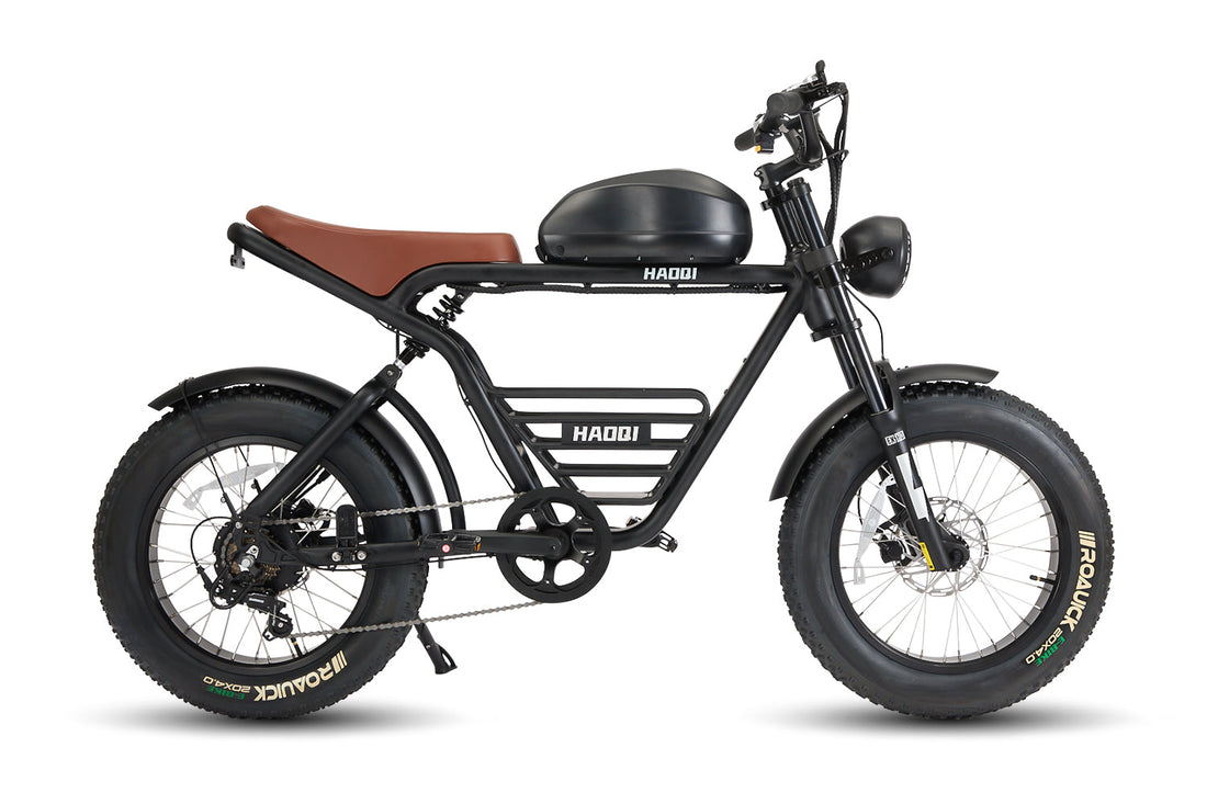 HAOQI Rhino2.0 Electric Motorbike