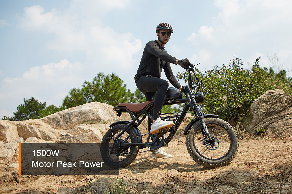 HAOQI Rhino2.0 Electric Motorbike