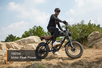 HAOQI Rhino2.0 Electric Motorbike