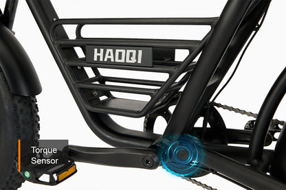 HAOQI Rhino2.0 Electric Motorbike