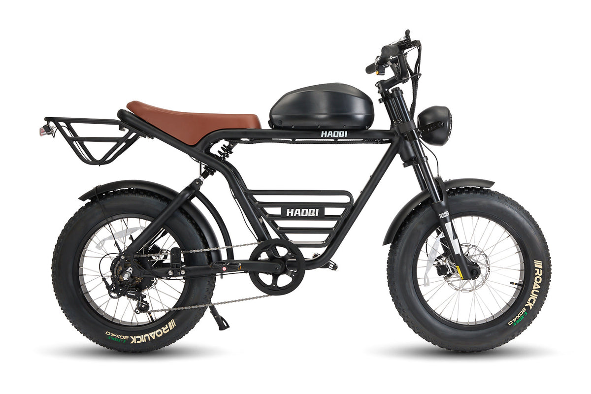 HAOQI Rhino2.0 Electric Motorbike