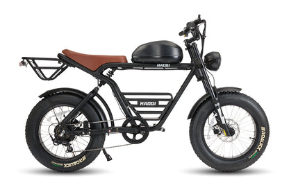 HAOQI Rhino2.0 Electric Motorbike