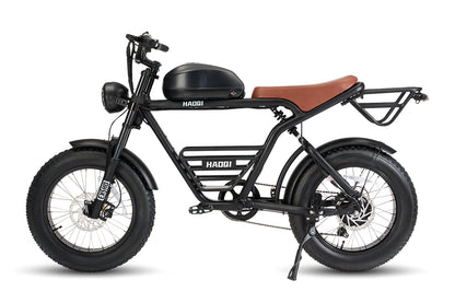 HAOQI Rhino2.0 Electric Motorbike