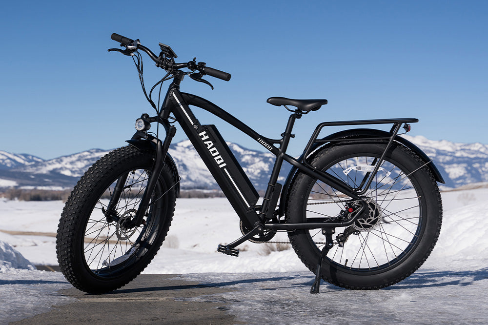 HAOQI Leopard Pro Fat Tire Electric Bike