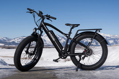 HAOQI Leopard Pro Fat Tire Electric Bike
