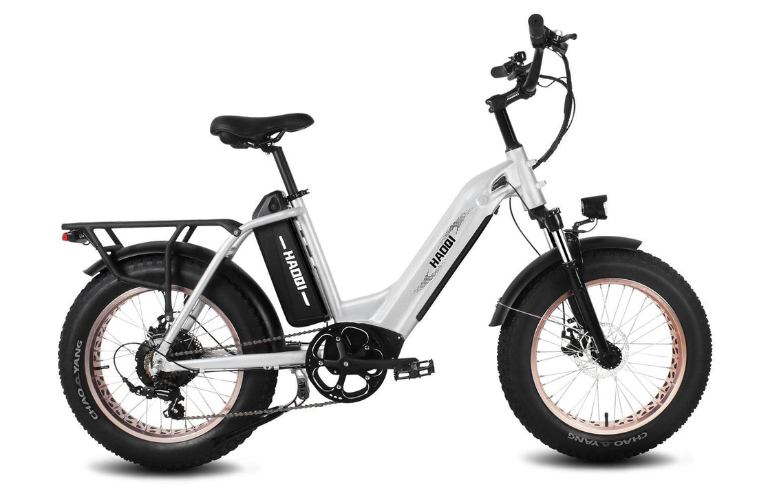 HAOQI Antelope Pro Cargo Electric Bike