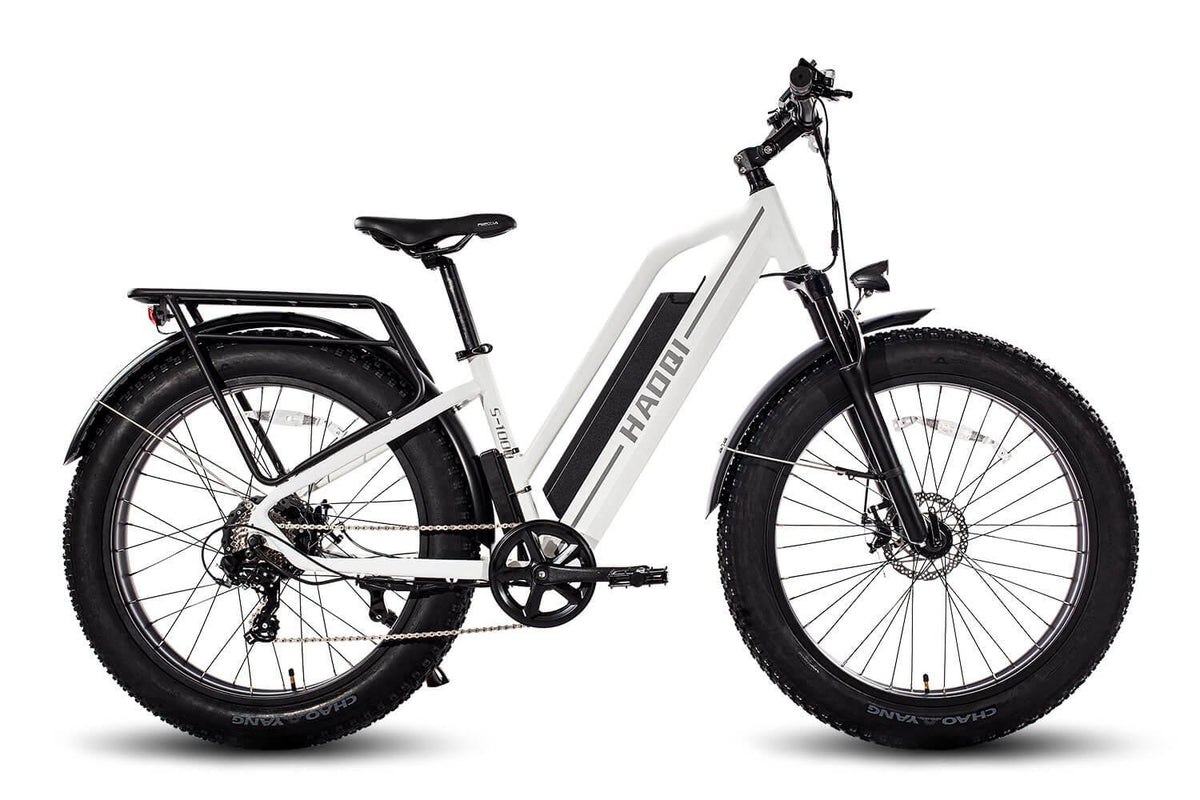 HAOQI Leopard Pro Fat Tire Electric Bike