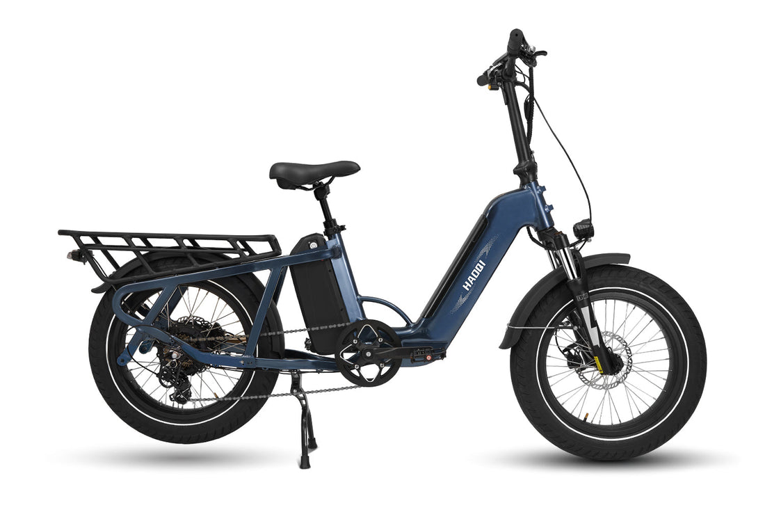 HAOQI Camel Electric Cargo Bike