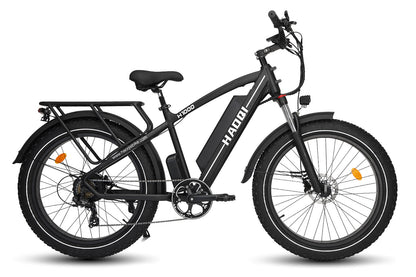 HAOQI Leopard Pro Fat Tire Electric Bike